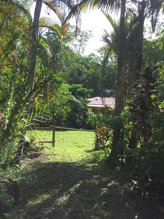 Magellan Boutique Hotel Cahuita Dış mekan fotoğraf