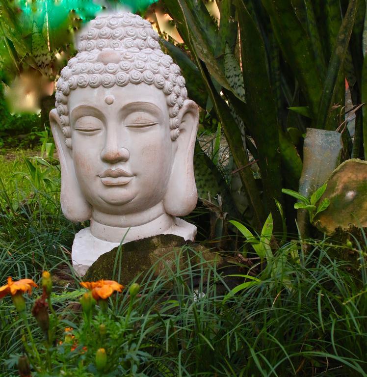 Magellan Boutique Hotel Cahuita Dış mekan fotoğraf