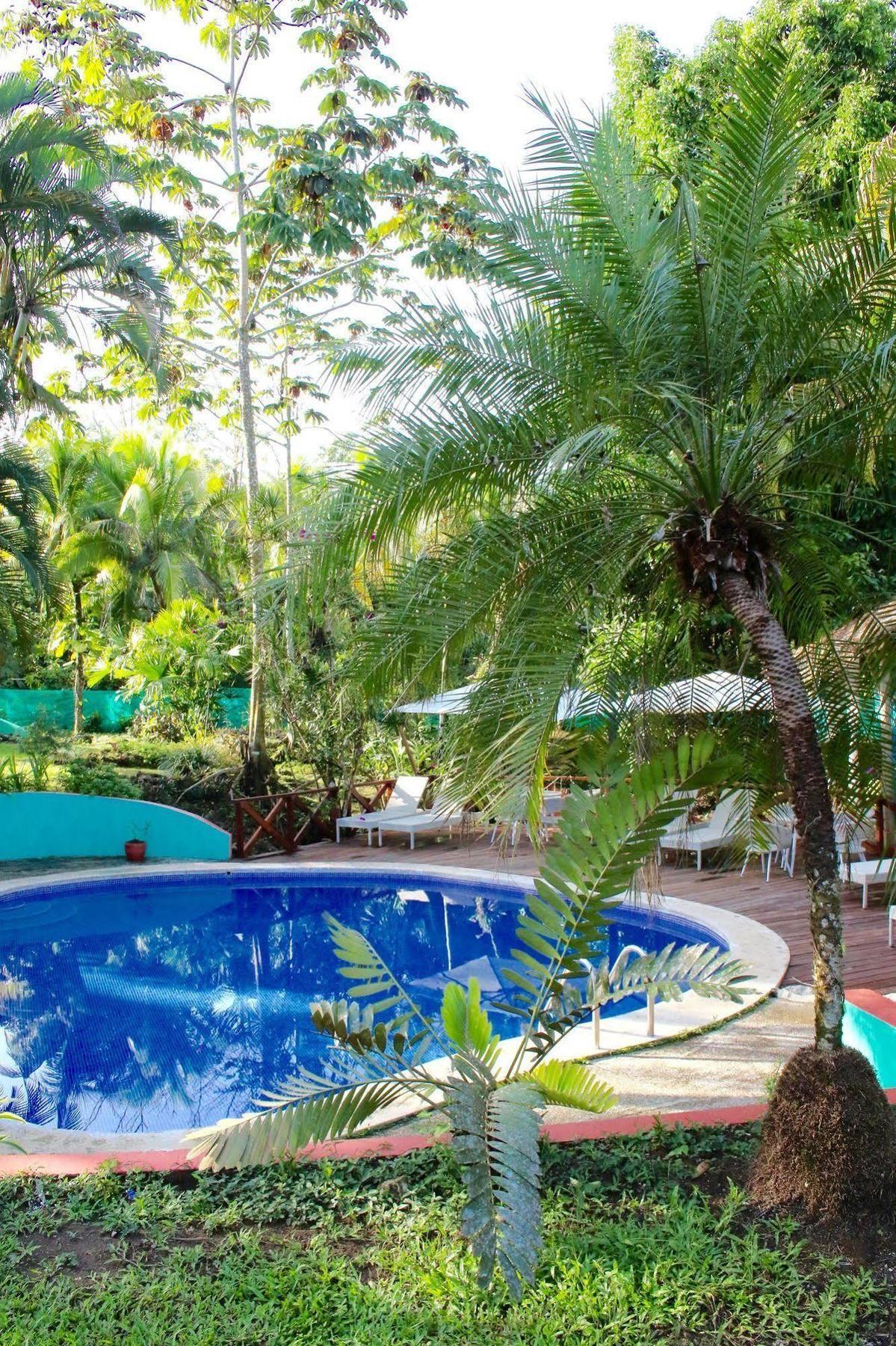 Magellan Boutique Hotel Cahuita Dış mekan fotoğraf